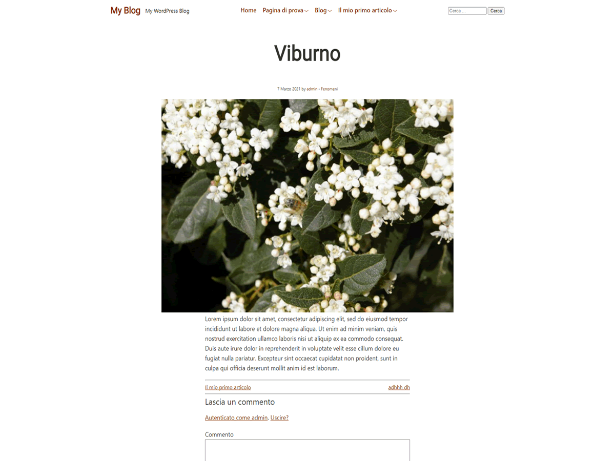 viburno screenshot