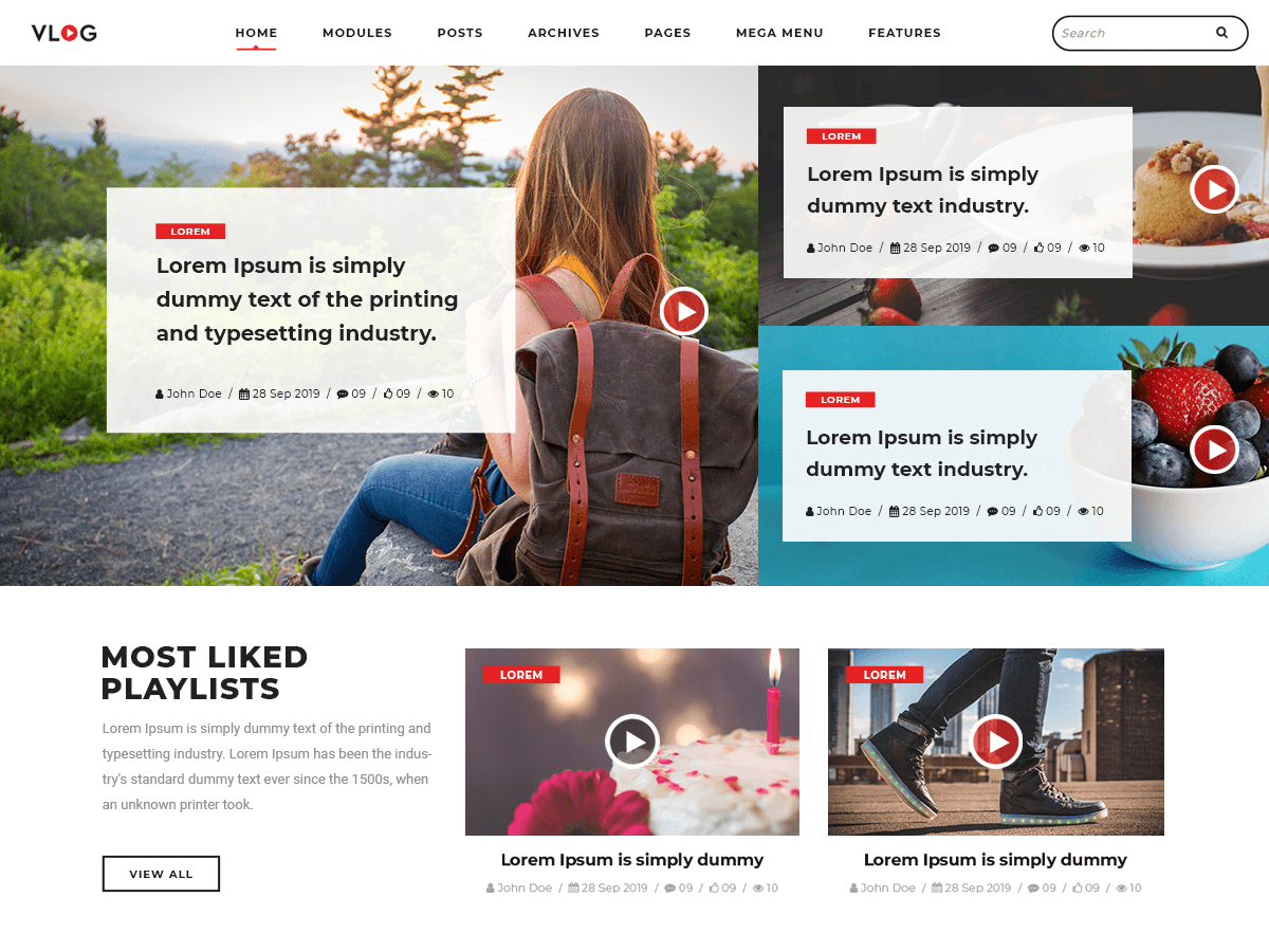 Vlogger Video Blog screenshot