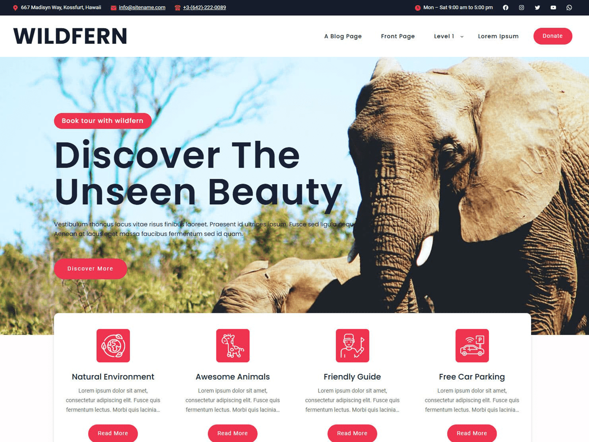 Wildfern screenshot