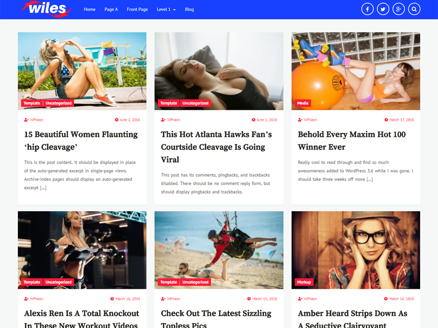 Wiles WordPress Theme by themefreesia