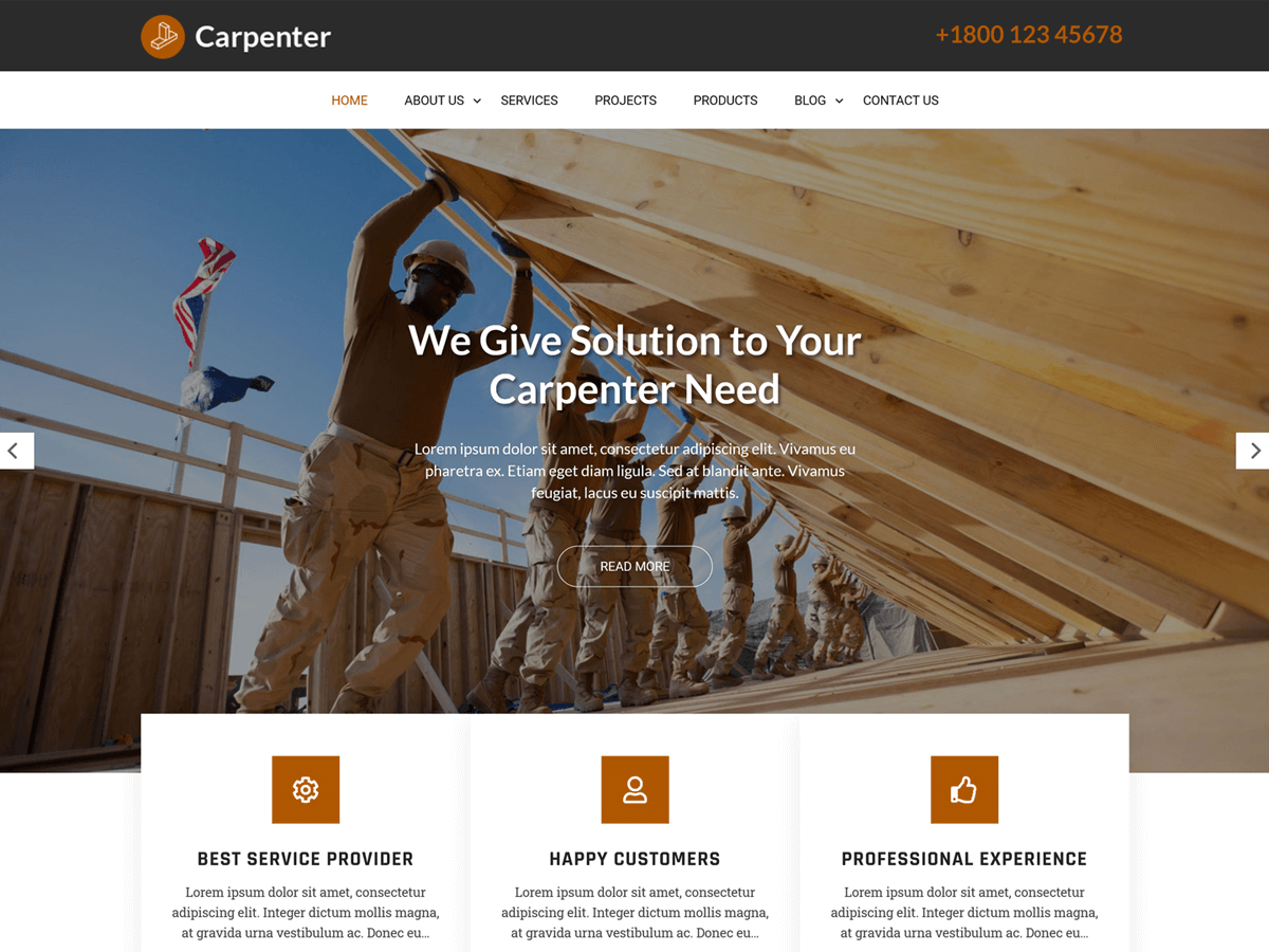 Woodwork Lite screenshot