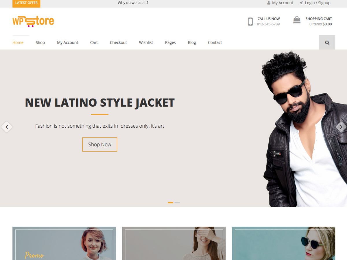 WP Store WordPress Theme by 8degreethemes