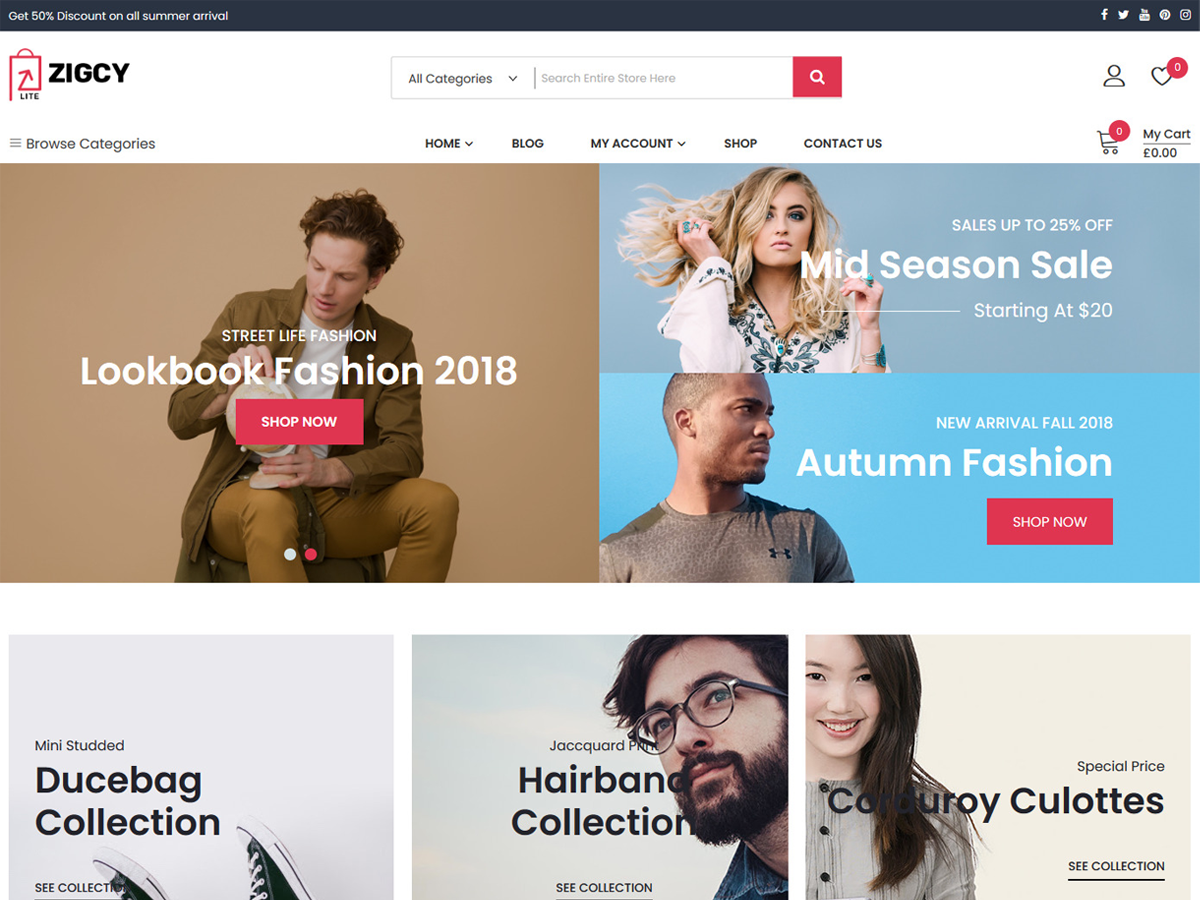 Zigcy Lite WordPress Theme by access-keys