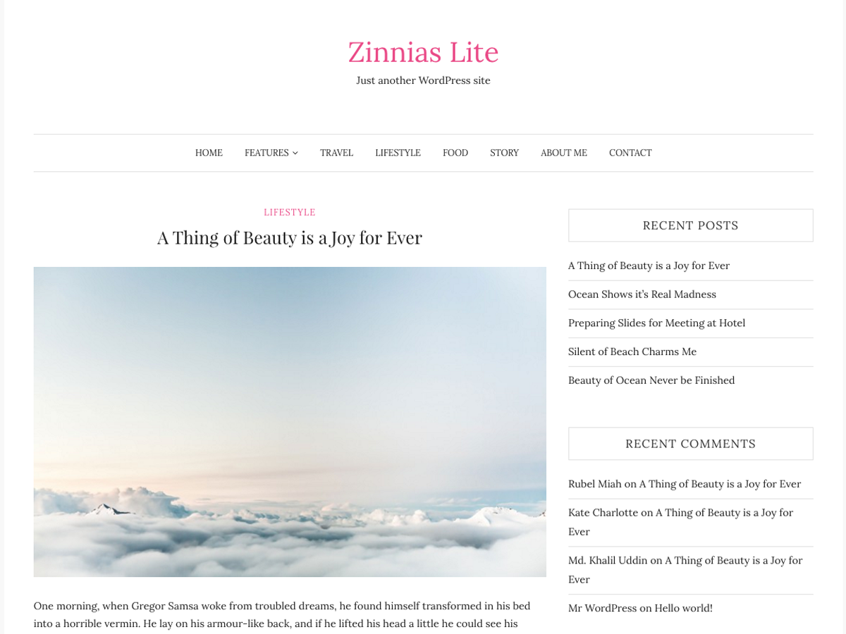 Zinnias Lite WordPress Theme by sparklewpthemes